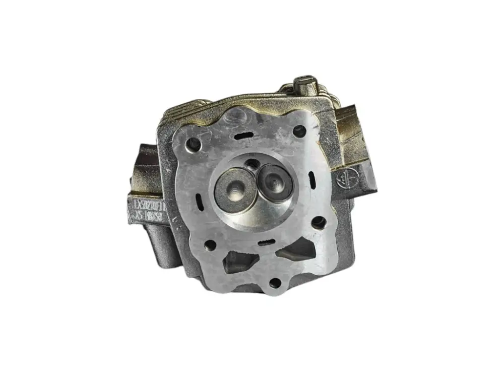 Ihned K Objednání Hlava motoru ATV 200cc 102x102 - vodník