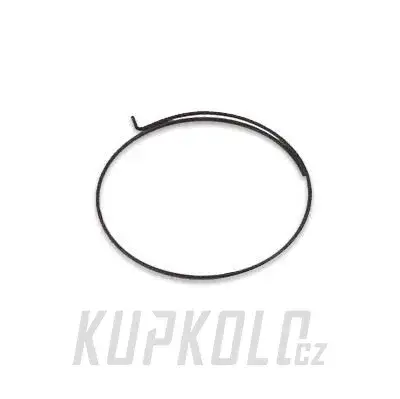 Pružinka Campagnolo volnoběžného segmentu zaplet.kol Tovární Cena