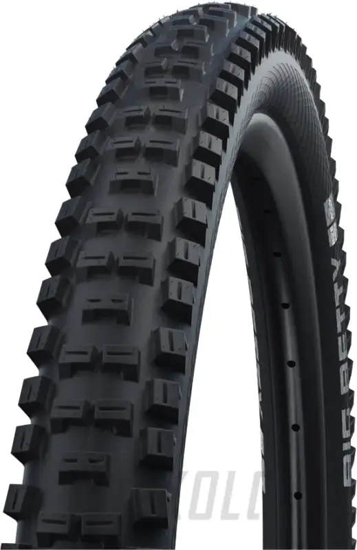 29" Plášť MTB Schwalbe Big Betty, BikePark performance Drát Víkendová Akce