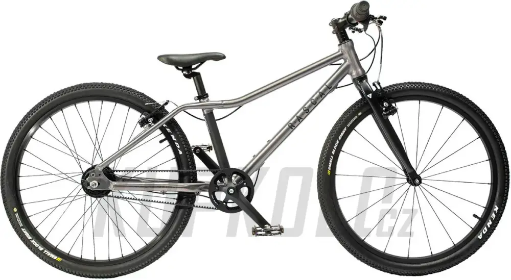 Dětské kolo Rascal 24" (BARVA: Titan) - řemen 7s Shimano Nexus 2026 Expresní Doručení