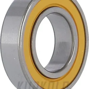 Ložisko DT Swiss 6802 keramické Ø 15/24x5mm, HSBXXX00N2521S Nejlepší Volba