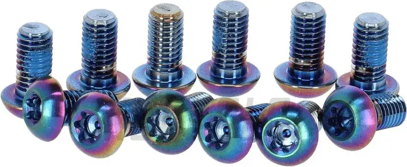 Značkový Sram titanové šrouby na kotouče TORX 25, 12 kusů duhové