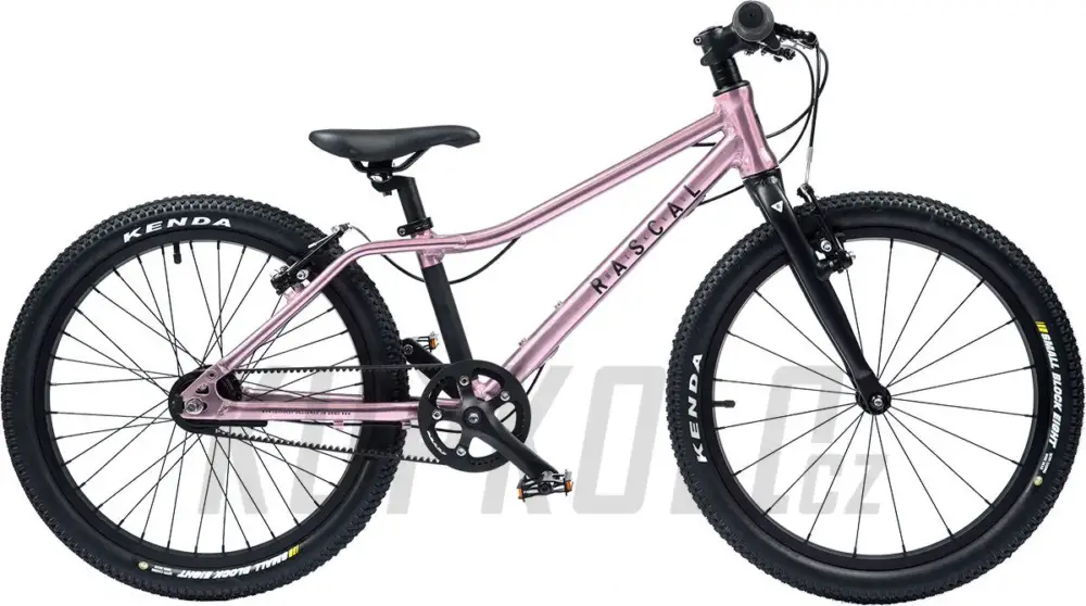 Hit Sezóny Dětské kolo Rascal 20" (BARVA: Raspberry)3-rychlostníSturmey Archer