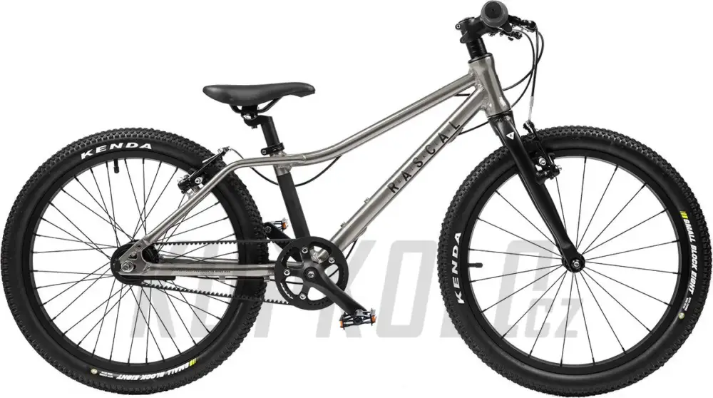 Dětské kolo Rascal 20" (BARVA: Titan) 3-rychlostníSturmey Archer Cenový Hit