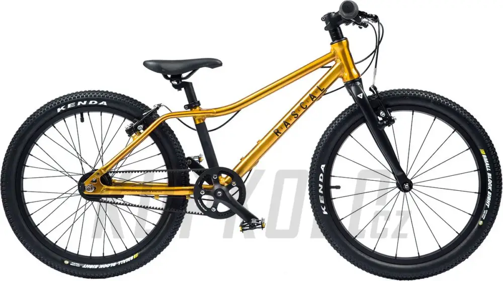 Dětské kolo Rascal 20" (BARVA: Gold) 3-rychlostníSturmey Archer Výprodej
