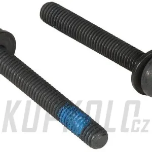 Campagnolo DB Šroubky zadního třmenu Autentický