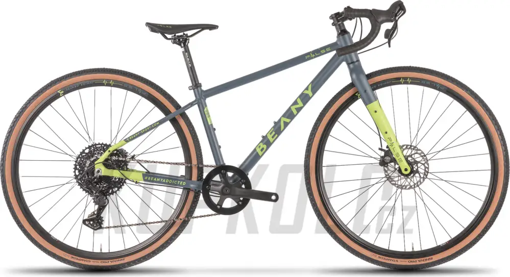 Rychlé Dodání Gravel bike - BEANY PULSE 700 - šedá 2025