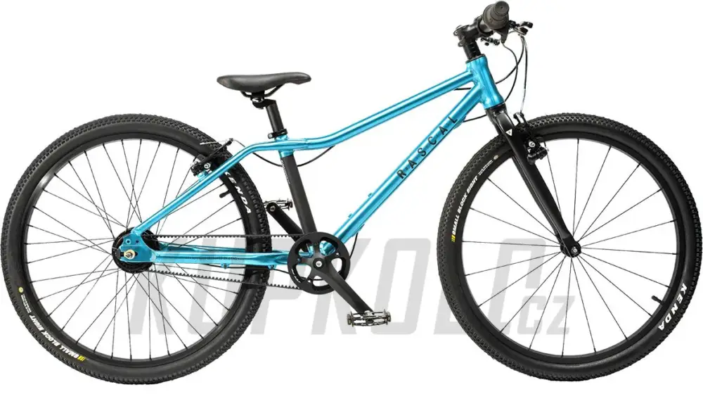 Cenová Bomba Dětské kolo Rascal 24" (BARVA: Aquamarine) - řemen7s Shimano nexus
