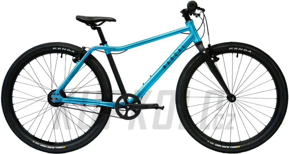 Nakupujte Hned Dětské kolo Rascal 26" (BARVA: aquamarine) - řemen 7s Shimano Nexus 2024
