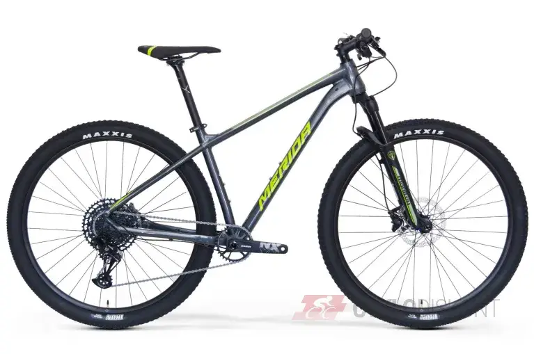Zlevněný 29" MERIDA BIG.NINE NX-Edition Dark silver (Green/silver)