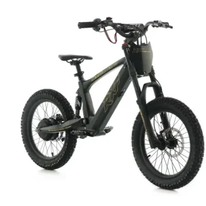 Výprodej Dětské elektrické BMX kolo RFN RFX EVO 20| Výkon 750 W | Max. rychlost 32 km/h | Dětské elektrické BMX | Lehký rám |