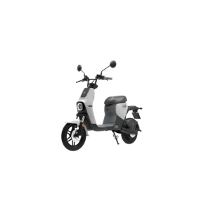 Nejlepší Volba Segway eScooter B110S