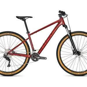 Must-Have Focus WHISTLER 3.7 (2023)